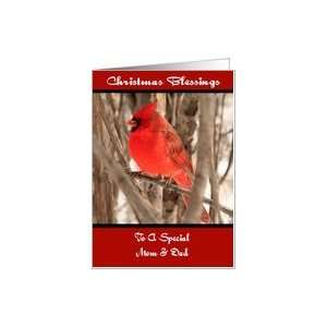 Mom And Dad Male Cardinal Christmas Card Card Health 