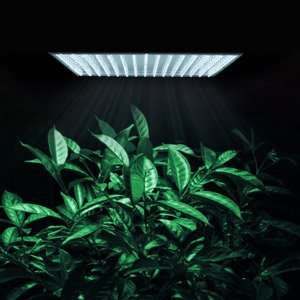 Electronic 225 High Power Ultrathin White LED Plant Grass Herb Flower 