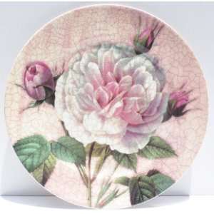 Antique Rose English Bone China Dinner Plate 10  Kitchen 