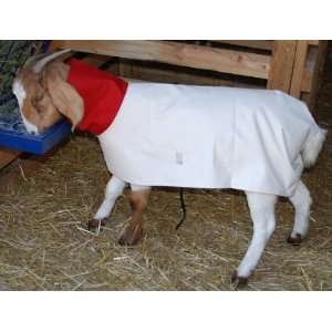   Cotton Duck Goat Blanket with Neck   L (95 130 lbs) 