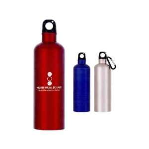 Stainless steel bike bottle with screw on spill resistant lid, 25 oz 