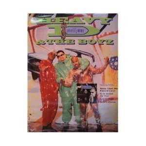  Heavy D and The Boyz Poster & Boys Peaceful Journey 