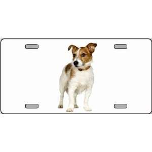  Jack Russell Terrier Dog Pet Novelty License Plate 
