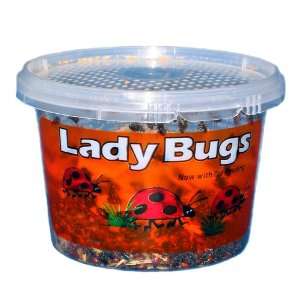  Snow Joe SJLB C1800 Live Ladybugs,1800 Count Patio, Lawn 
