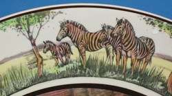 Large 13 Royal Doulton African Zululand Charger Plate  