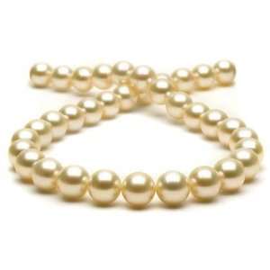  Golden South Sea Pearl Necklace  11 13mm AAA Jewelry