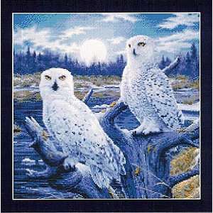  Moonlight Owls   Cross Stitch Pattern Arts, Crafts 