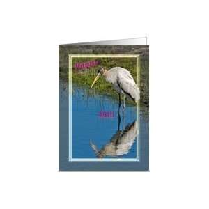  49th Birthday Card with Wood Stork Card Toys & Games