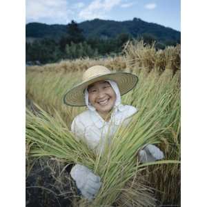  Farming Woman Harvesting Rice, Yamanashi, Honshu, Japan 