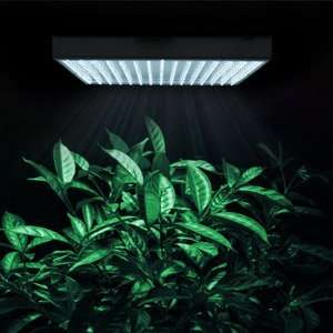 Greenhouse Technology 225 Sunlight High Power Hydroponic Plant Grass 