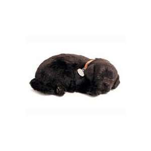   Black Lab Lifelike Puppies that Actually Breathe 