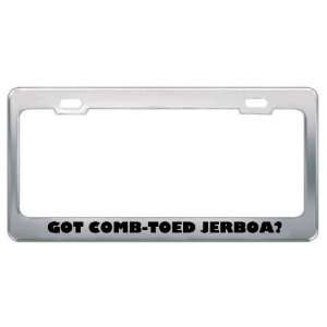 Got Comb Toed Jerboa? Animals Pets Metal License Plate Frame Holder 