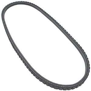  Allstar Performance 86120 V BELT 31.5 Automotive