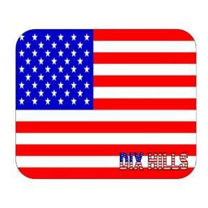  US Flag   Dix Hills, New York (NY) Mouse Pad Everything 