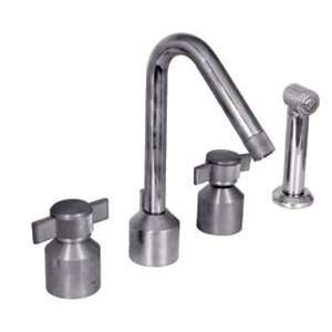  Urbane 25 Concealed Ledge Kitchen Faucet w/ Hand Spray by 