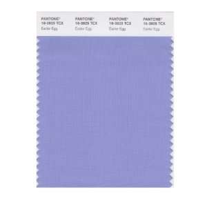   PANTONE SMART 16 3925X Color Swatch Card, Easter Egg