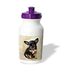  Dogs Chihuahua   Chihuahua Puppy   Water Bottles Sports 