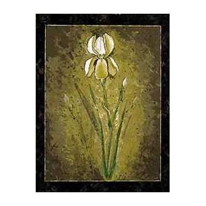   Amaryllis   Artist Julia Bonet  Poster Size 12 X 16