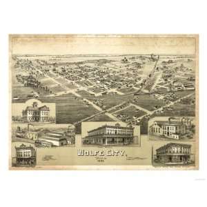  Wolfe City, Texas   Panoramic Map Giclee Poster Print 