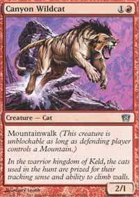 MTG  Eighth Edition  Canyon Wildcat  