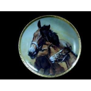  Pasture Pest Collector Plate