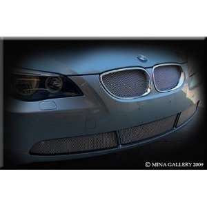  BMW 525 528 530 535 545 550 series 04 07 Lower mesh grille 