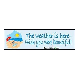 The weather is here, wish you were beautiful   funny stickers (Small 5 