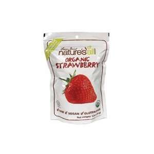  Natures All Foods Bar Organic Raw Fruit Strawberry 1.2 oz 