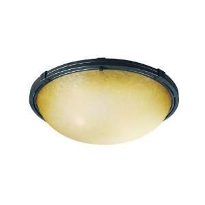   Light Down Light Flushmount Ceiling Fixture from the Wayman Collection