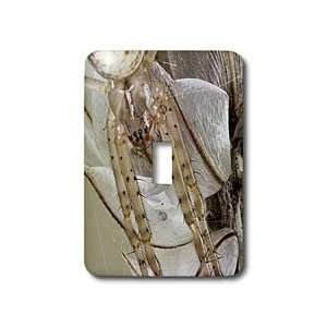   for long periods of time   Light Switch Covers   single toggle switch