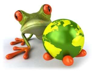 Water Butt Frog Holding World in Hand