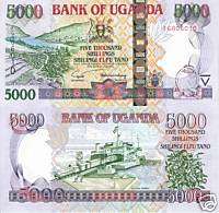 UGANDA 5000 Shillings Banknote World Money UNC Currency  
