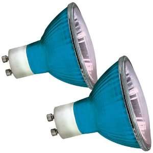  Zilla RZilla 11487 Day Blue Light Halogen Bulb, 25 Watt 
