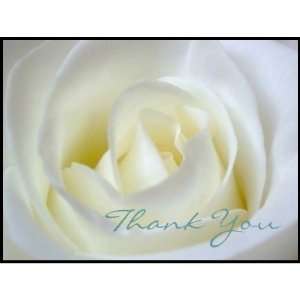  White Rose   Thank You Postage Stamp