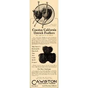  1906 Ad Cawston California Ostrich Farm Feathers Plume 