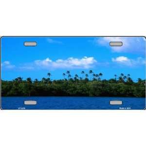  Tropical Forest License Plate   Full Color Photography 