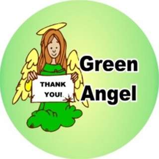 Scouts Green Angel Pin Thank You Sign Girl Leader Volunteer  