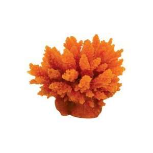  Coral Art   Seriatopora   Orange