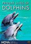 Nova   Private Lives of Dolphins (DVD, 2006)