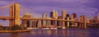 Jigsaw puzzle Explore New York by Day & Night 2 panoramic 500 pc views 