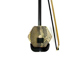 Pipa Chinese lute guitar string musical instrument  