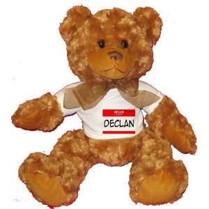  HELLO my name is DECLAN Plush Teddy Bear with WHITE T 