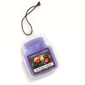  Autumn Fruit Yankee Gel Air Fragrancer