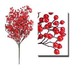    Pack Of 6 Red Gooseberry Christmas Bushes 26