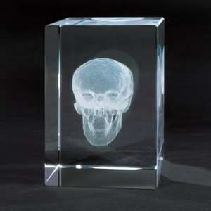  MEDart™ Glass Block Skull