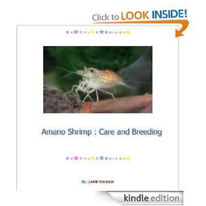 Amano Shrimp  Care and Breeding Kasidit Wannurak  Kindle 