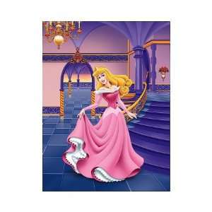 Sleeping Beauty Giclee Poster Print, 16x20