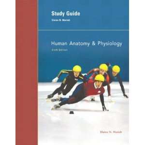   & Physiology Study Guide [Paperback] Elaine Nicpon Marieb Books