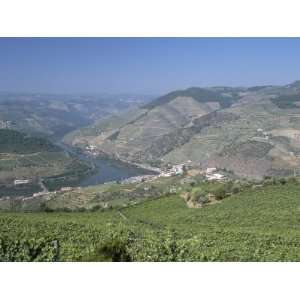  Vineyards Near Pinhao, Douro Region, Portugal Photographic 