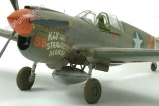   plastic model airplanes for sale P 40N Warhawk Pro Built 148  